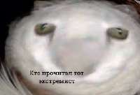 17532031491760.jpg