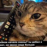 17504569878692.jpg