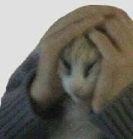 16438361851610.jpg