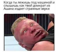 17558497261402.jpg