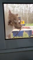 17541811720431.mp4