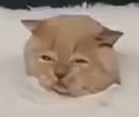 изображение.png