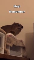 012c9bbe7faadf674e7098ee02e6bbf6.mp4