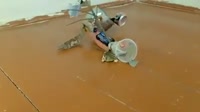 17265248576720.mp4