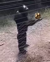 1613832831827.mp4
