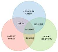 3529010232.jpg