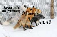 17564837484430.jpg