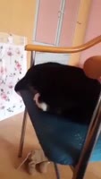 16426089513792.mp4