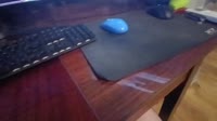 17564045825570.mp4