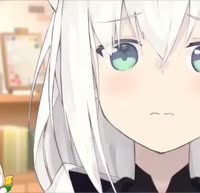 17244111574330.mp4