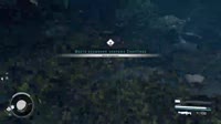 4Starfield.mp4