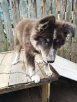 IMG-20250901-WA0012.jpg