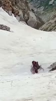 осел.mp4
