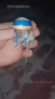 17565750455270.mp4