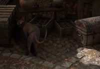 1634804158668.webm