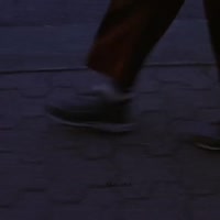 17558691157720.mp4