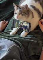 1755844200607.mp4