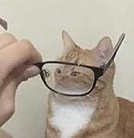 1545929602403.jpg
