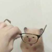 6df236d5b41b84ec04bd298dc0234fc5.jpg