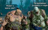 IMG9635.jpeg