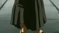 image.mp4