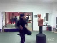 17558945870131.webm