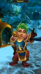 Gnome Rogue.jpeg