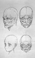 19a6e5e941df63b342f62e0be1f54959.jpg