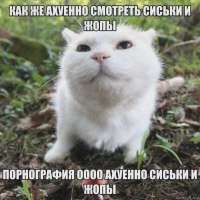 j3TpnIW1B7cDh-44h2aCO9QbpO7wuVoR2db8brwl0EqyG7Q5BmYdduMpCWN6t5BFcmz-5wiLL97ihcttTAGRrmk.jpg