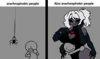 Spider.jpg