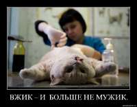 изображение.png