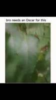 17569714658780.mp4