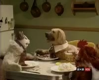 16084716908450.webm