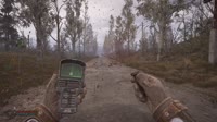 87654334.mp4