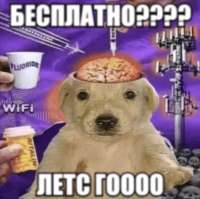 515d1123-a212-573b-8af6-d999f699c22e.png