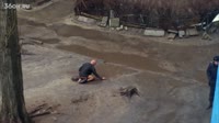 14821360639170.webm