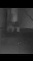 118.mp4