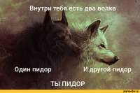 инь-и-янь-волки-живность-5396974.jpeg
