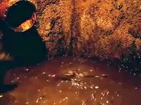 1757458656637.mp4