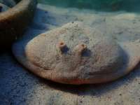 IMG20260704002032007.jpg