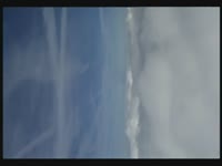 swm.mp4