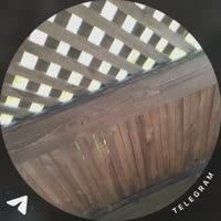 1784130807427.mp4
