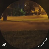 1784150645531.mp4