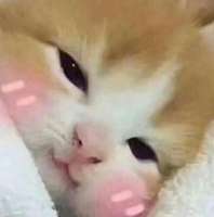 17160538102750.jpg