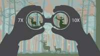 Magnification2.jpg
