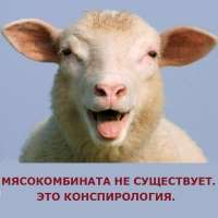 мясокомбината нет.jpg