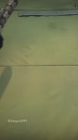 175463165174475915.mp4