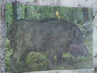 IMG20241231135256.jpg