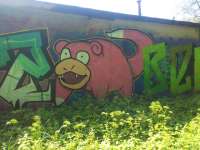 IMG20250713124002.jpg