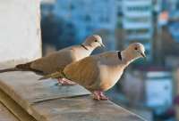 images.webp